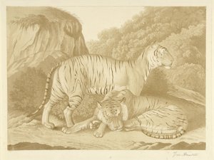 Zwei Tiger in einer Landschaft