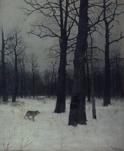 Wald im Winter