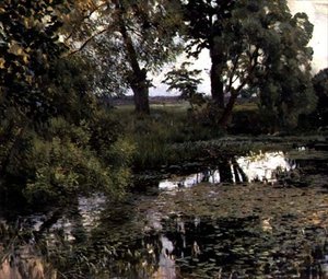 Der überwucherte Teich