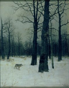 Wald im Winter