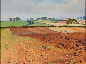 Gepflügtes Feld von Isabel Codrington