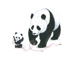 Spielzeit für den Panda