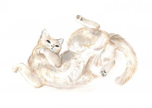 Verspielte Katze
