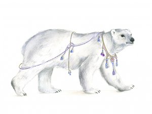 Königliche polare Majestät