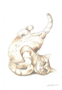 Entspannte Katze
