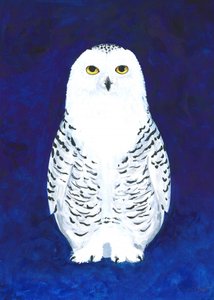 Ernste Schneeeule