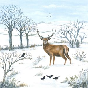 Hirsch im Winter