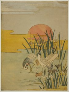 Kraniche in einem Iris-Teich bei Sonnenaufgang von Isoda Koryusai