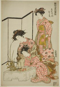 Shirotae von der Okanaya, aus der Serie "Modelle für Mode: Neue Designs so frisch wie junge Blätter (Hinagata wakana no hatsu moyo)" von Isoda Koryusai