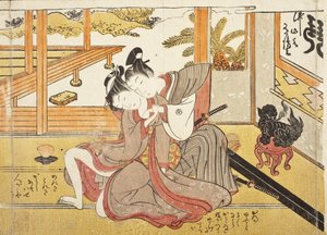 Unbetiteltes Bild aus einem erotischen Album von Isoda Koryusai