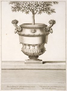 Bronzene Urnen für Zitrusbäume, Illustration aus 