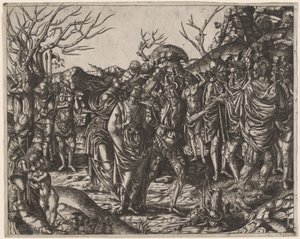 Der Tod der Virginia