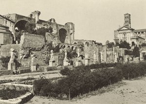 Forum Romanum, Basilika des Konstantin, Tempel des Romulus und Haus der Vestalinnen von Italian Photographer