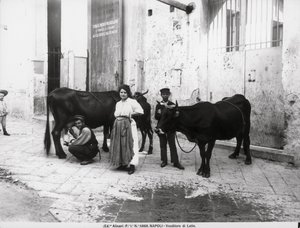 Eine Milchverkäuferin, aus Leben in Neapel von Italian Photographer Italian Photographer