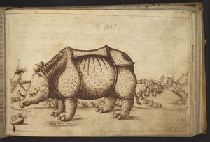 Nashorn, aus Historia Animalium von Italian School