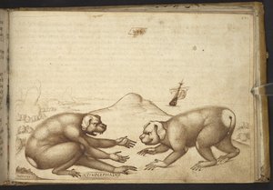 Hundähnliche Kreaturen kämpfen (