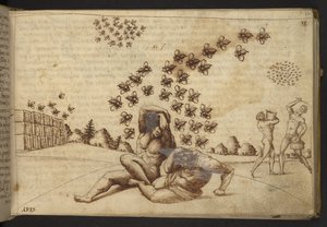 Add. 82955, f.60 Bienen (
