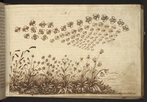 Bienen (