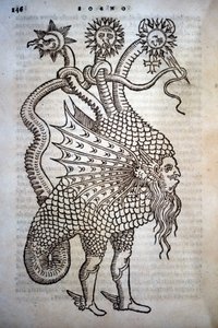 Alchemie: Monster-Hybrid, in „De Transmutatione Metallica Sogni Tre“ von Giovanni Battista Nazari, herausgegeben in Brescia 1599. von Italian School