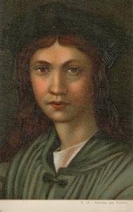 Andrea del Sarto, italienischer Maler von Italian School