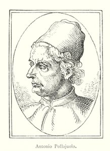 Antonio Pollajuolo von Italian School