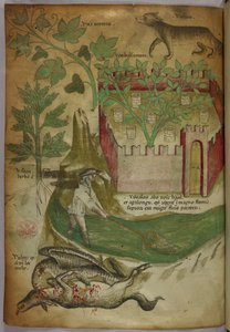 Botanische und tierische Illustration von Pflanzen, einem ummauerten Garten, einem Wolf, einem Mann, der in einem Bach mit einem Netz fischt, und einem Geier, der an einem Tierkadaver pickt, um 1440 von Italian School