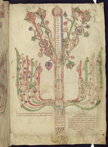 Corpus Christi Oxford MS 255A f.11r Baum, der die Genealogie biblischer Figuren im Neuen Testament darstellt von Italian School
