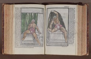 Weibliche Anatomie, aus Commentaria cum amplissimis additionibus super anatomiam mundini, von Jacopo Berengario da Carpi (ca. 1460-ca. 1530) veröffentlicht in Bologna, 1521 (Farbholzschnitt)