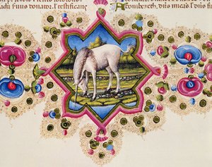 Fol.245V Ein Einhorn, aus der Borso d