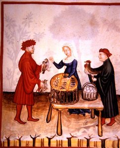 Der Verkauf junger Tauben, Illustration aus 