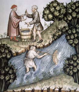 Fischen, Illustration aus Tacuinum Sanitatis Codex Vindobonensis von Italian School