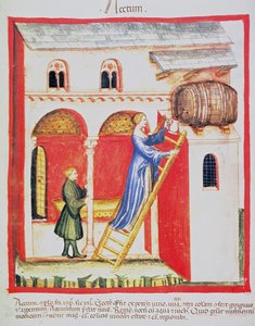 Essig, Illustration aus Tacuinum Sanitatis Codex Vindobonensis von Italian School