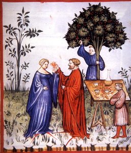 Fol.86r Weißwein, Illustration aus 