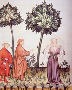 Cholera, Illustration aus Tacuinum Sanitatis Codex Vindobonensis von Italian School