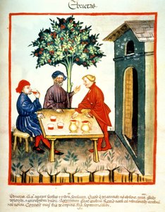 Trunkenheit, Illustration aus Tacuinum Sanitatis Codex Vindobonensis von Italian School