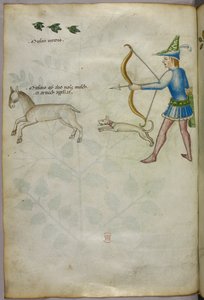 Illustration eines Mannes mit einem Bogen, der auf ein Tier schießt, mit einem Hund und Vögeln darüber, um 1440