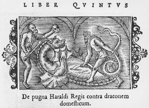 König Harald kämpft gegen einen Drachen, Illustration aus Historia de Gentibus Septentrionalibus von Olaus Magnus (1490-1558), veröffentlicht in Rom, 1555