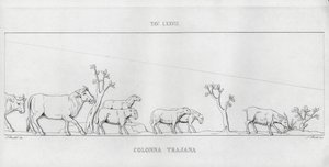 La Colonna Trajana, Trajanssäule von Italian School