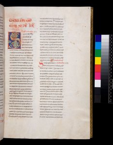 Ms 143. Gregor der Große, Registrum Epistolarum, f.8r. Verzierte Initiale [S] mit weißen Weinlaubfüllungen und Endstücken von Italian School