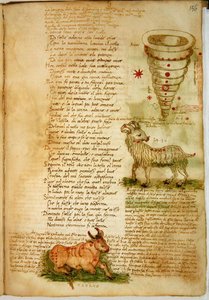 Widder und Stier, aus dem 