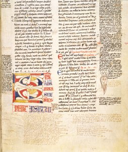 Detail einer pflanzenförmigen Initiale C aus Gratians Decretum von Italian School