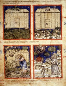 Arche Noah, Miniatur aus Codex 212 (oder Padovano Codice oder Bibel von Padua) 1390-1400 Rovigo, Accademia dei Concordi von Italian School