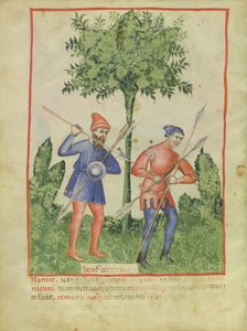 Der Westwind, aus Tacuinum Sanitatis, ca. 1390-1400 von Italian School