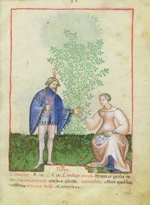Rosen, aus Tacuinum Sanitatis, ca. 1390-1400