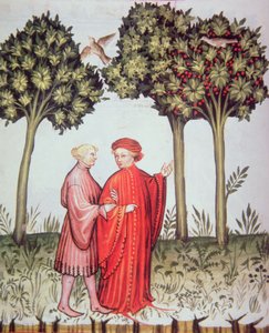 Nova 2644 fol.102v Zwei Freunde gehen zusammen spazieren, aus Tacuinum Sanitatis Codex Vindobonensis