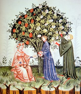 Rosen sammeln, Illustration aus Tacuinum Sanitatis Codex Vindobonensis von Italian School
