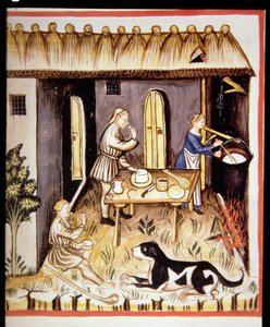 Nova 2644 fol.62r Zubereitung von weißem Käse, aus Tacuinum Sanitatis von Italian School