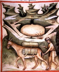 Nova 2644 fol.90r Schnee und Eis, aus 