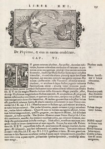 Seite 735 aus Historia De Gentivus Septentrionalibus von Magnus Olaus, Rom 1565 von Italian School