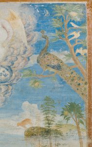 Pfau (Detail)